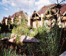 Click to send Misty Hills enquiry